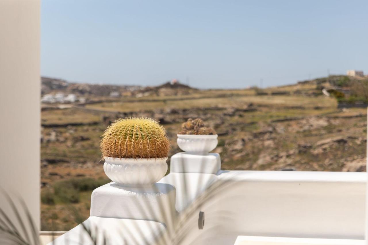 Sea & Stone Residence Mykonos Platísz Jalósz Kültér fotó