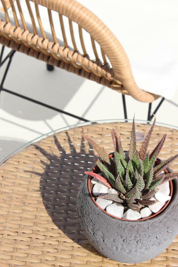 Sea & Stone Residence Mykonos Platísz Jalósz Kültér fotó